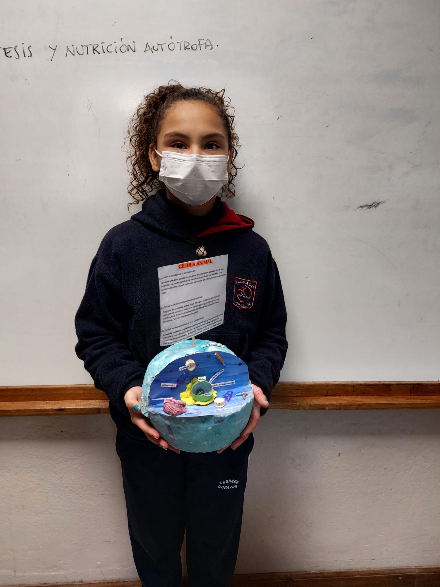 Maquetas de 6to Año – Colegio Sagrado Corazón Paso Carrasco